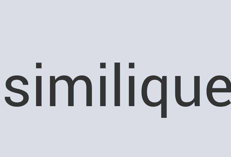 Small Linen SlimAll